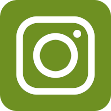 Zur Webseite von Instagram